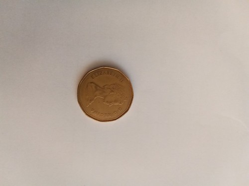 Moneta dollaro canada - moneta, 1