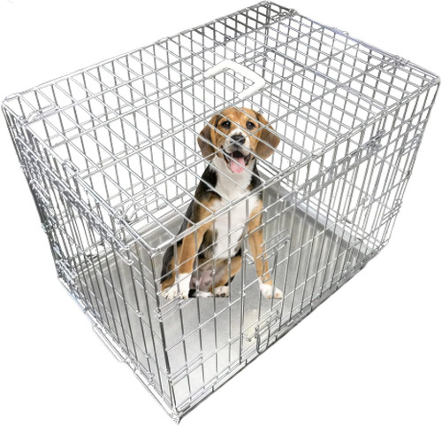 Cucciolo del cane gabbia - cucciolo,