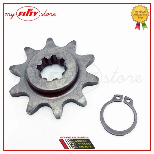 Pignone motore z10 - pignone,