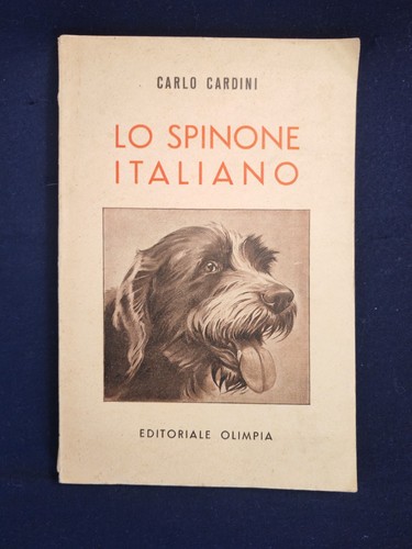 Spinone italiano carlo - lo,