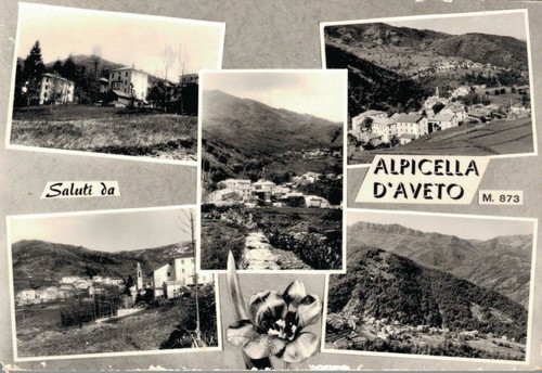 Genova alpicella aveto - alpicella, d'aveto
