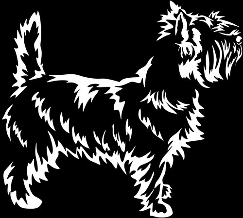 Adesivo cairn terrier - adesivo,