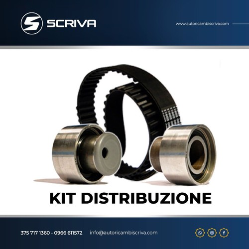 Kit distribuzione fiat punto - kit,