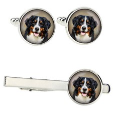 Bovaro Bernese Set Con Si Aggrappano IN Scatola Con Bild. Art-Dog