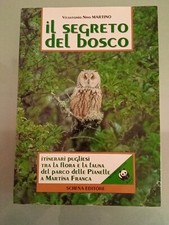 IL SEGRETO DEL BOSCO DELLE