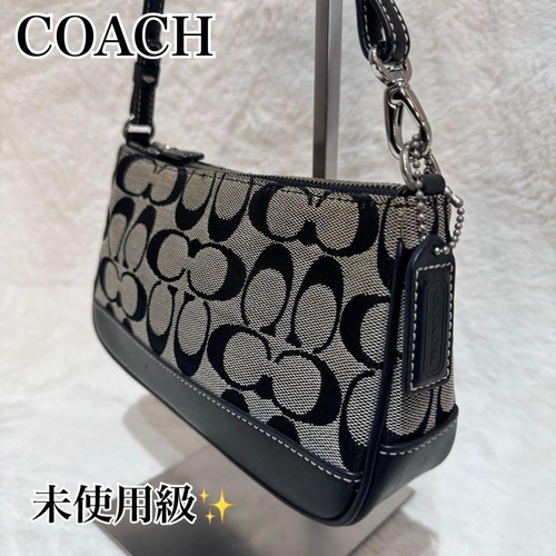 Borsa porta accessori coach - porta,