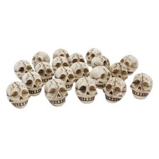  20 Pcs Teschio Soprammobile