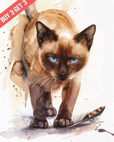 Gatto birmano che gioca con