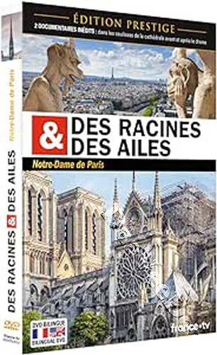 Roots and wings notre - wings:,