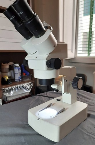 Stereomicroscopio trinoculare