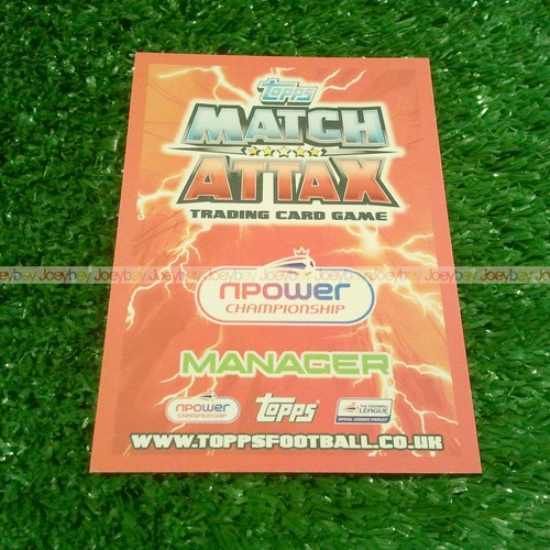 Championship manager - 12/13,