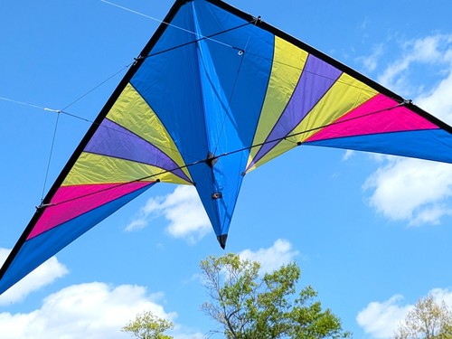 Wing phantom trick kite - 94",