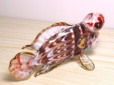 Figura ciclide pesce corno di