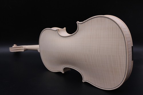 Master violino incompiuto