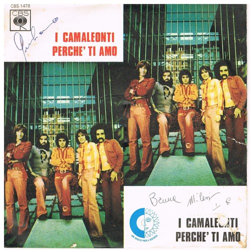 Camaleonti perche ti - -, amo