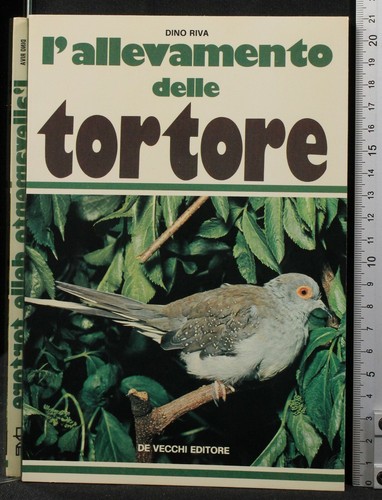 Allevamento delle tortore - l'allevamento,