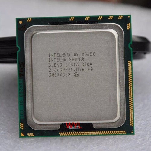 Processore cpu server intel - processore,