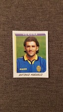 FIGURINA PANINI CALCIATORI