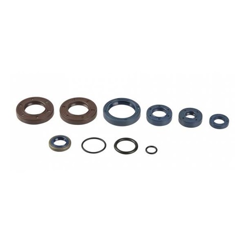 Serie paraoli motore - paraoli,