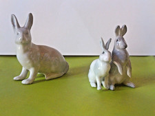 set di conigli in miniatura in