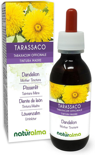 Tarassaco taraxacum - tarassaco, (taraxacum