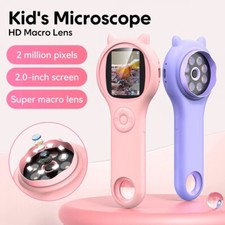 Viola - 500x Microscopio