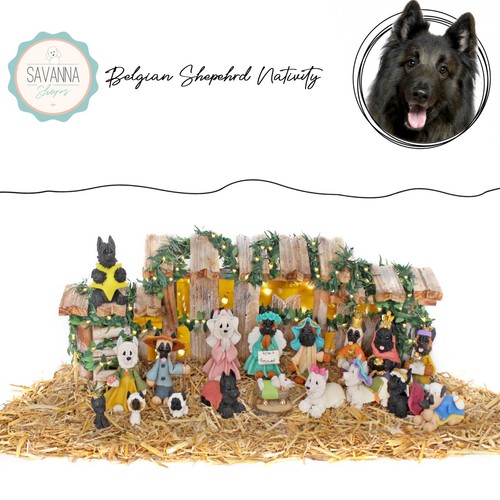 Set natività per cani - natività,