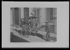 Frutta, venditore di pollame