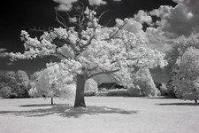 Corpo camma Nikon D5100