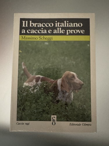 Massimo scheggi bracco - scheggi, il