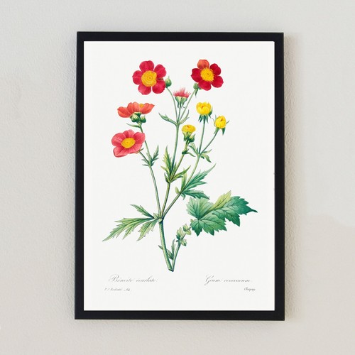 Illustrazione floreale vintage