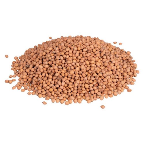 Noccioli ciliegia 750gr - di,