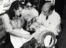 Foto Vintage Animali Londra