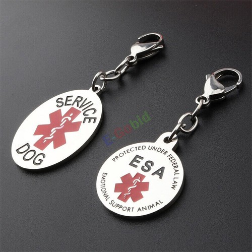 Servizio cane supporto - cane,