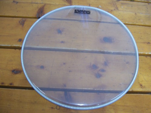 Vintage evans clear - 16", g1