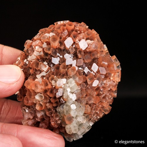 Espositore esemplare minerale
