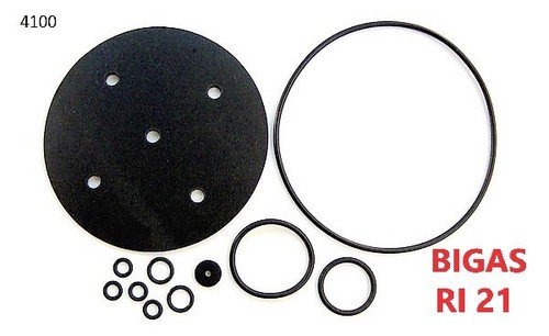 Bigas ri21 reducer repair kit - bigas,