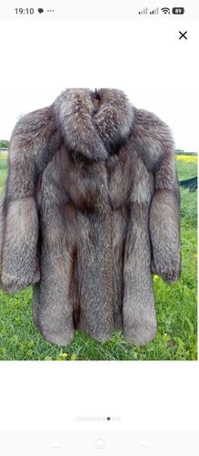 Pelliccia volpe argentata - volpe,