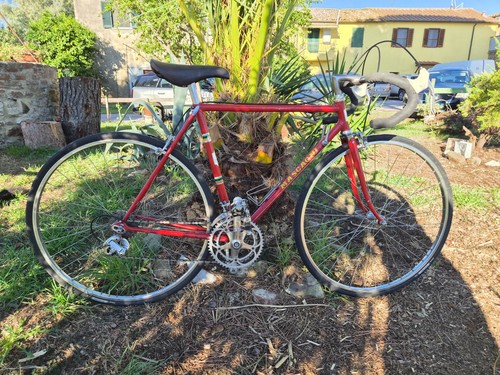 Bici corsa vintage - bici, eroica