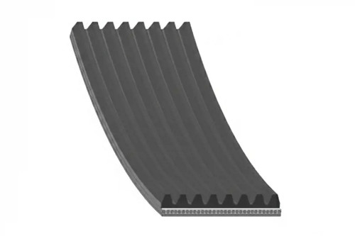 Cinghia trapezoidale