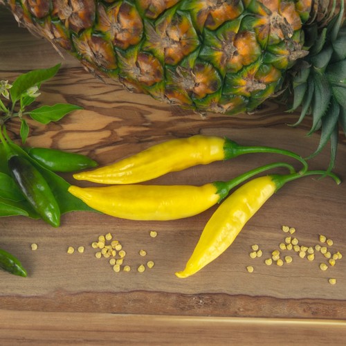 Semi peperoncino aji - peperoncino,