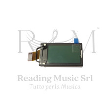 Display LCD Assemblato