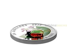 20 $ DOLLARI Coleottero