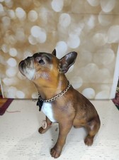 Statua cane bulldog - bulldog, francese