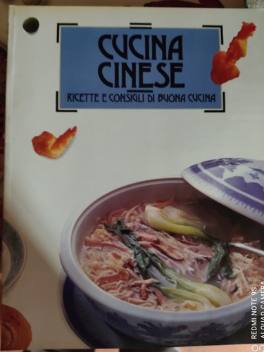 Cucina cinese - cucina,