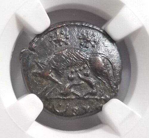 Gemelli lupo costantiniani ngc - gemelli,