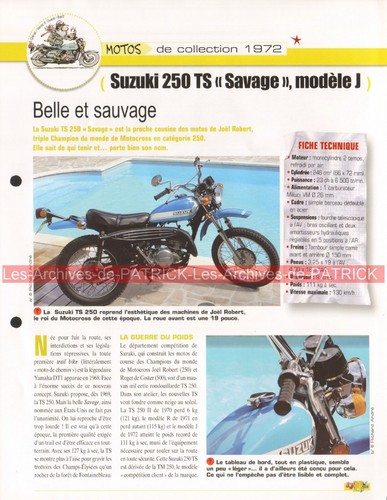 Suzuki 250 savage - suzuki, ts