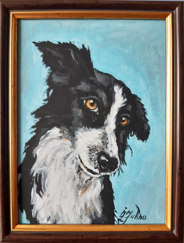 Border collie dipinto - border,