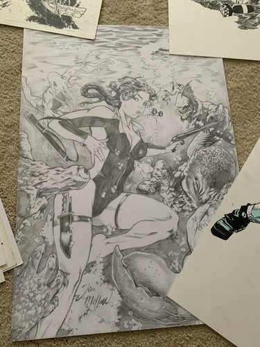 Tomb raider - raider, (lara
