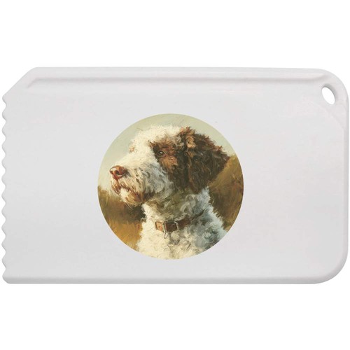 Ritratto cane lagotto - 'ritratto, di